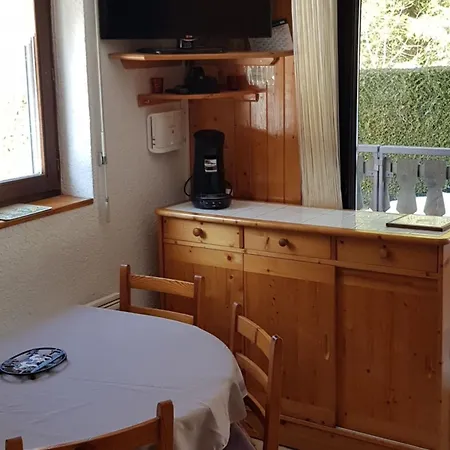 2 Pieces Avec Terrasse, Proche Commodites Et Navettes, 4 Pers, Wifi, Parking, - Fr-1-676-187 * Chatel